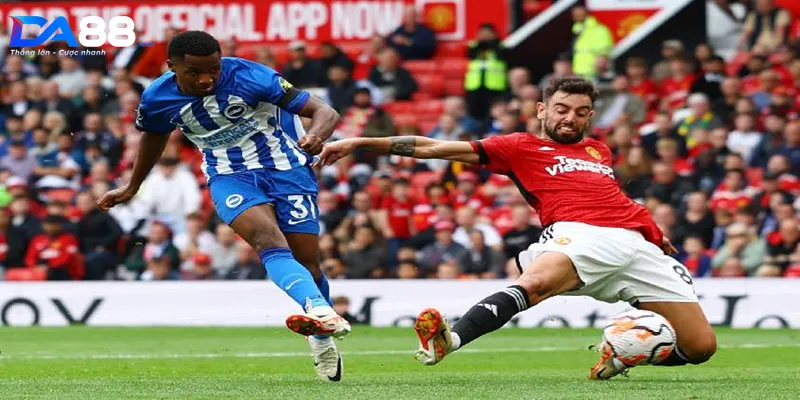 Lịch sử đối đầu giữa hai đội bóng Brighton vs Manchester United