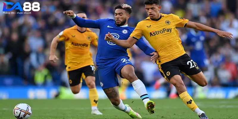 Lịch sử đối đầu giữa hai đội bóng Wolves vs Chelsea