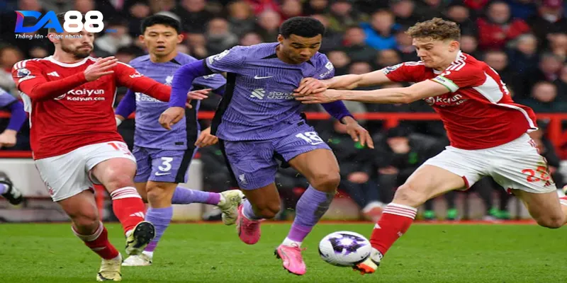 Lịch sử đối đầu giữa hai đội bóng Liverpool vs Nottingham