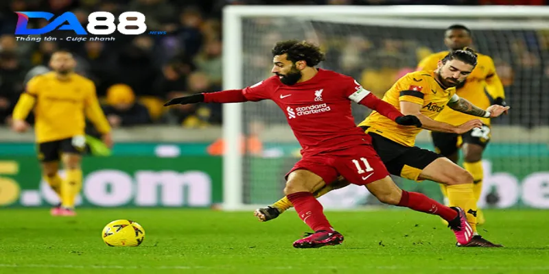 Lịch sử đối đầu giữa hai đội bóng Wolves vs Liverpool