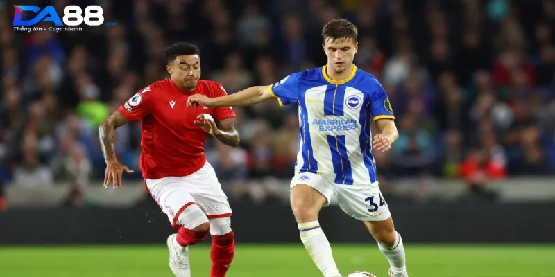 Lịch sử đối đầu giữa hai đội bóng Brighton vs Nottingham