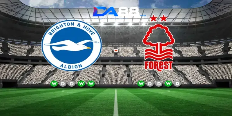 Soi kèo Brighton vs Nottingham ngày 22/09/2024 lúc 20h00